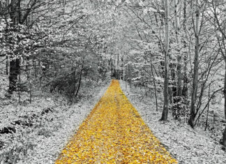 jesienno-zimowe spacery