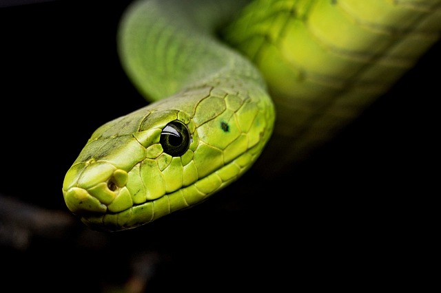 Czym skleić wąż od chłodnicy?
