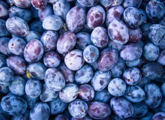 Jak zrobić awaryjne zasilanie pieca?