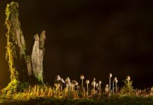 Jakie są rodzaje prowadnic do szuflad?