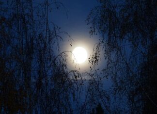 Co to jest moment obrotowy Nm?