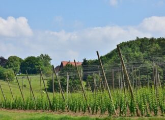 Co daje skrócenie sztangi turbiny?