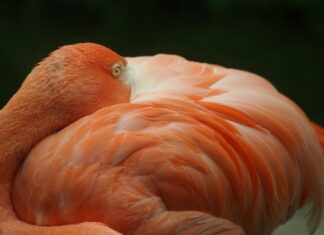 Jak odłączyć przewody paliwowe?