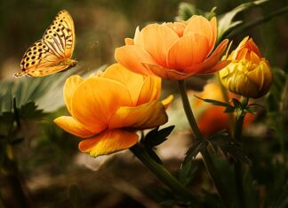 Czym wypolerować samochód po myciu?