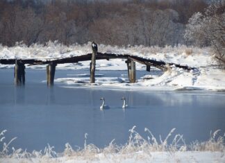 Co oznacza nazwa przewodu 3x2 5?