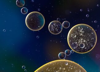 Ile litrów oleju w skrzyni biegów?