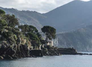 Ile kosztuje 1 kWh z agregatu?