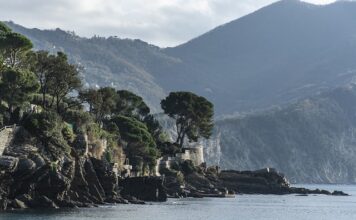 Ile kosztuje 1 kWh z agregatu?