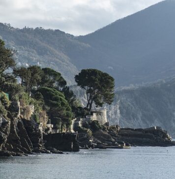 Ile kosztuje 1 kWh z agregatu?